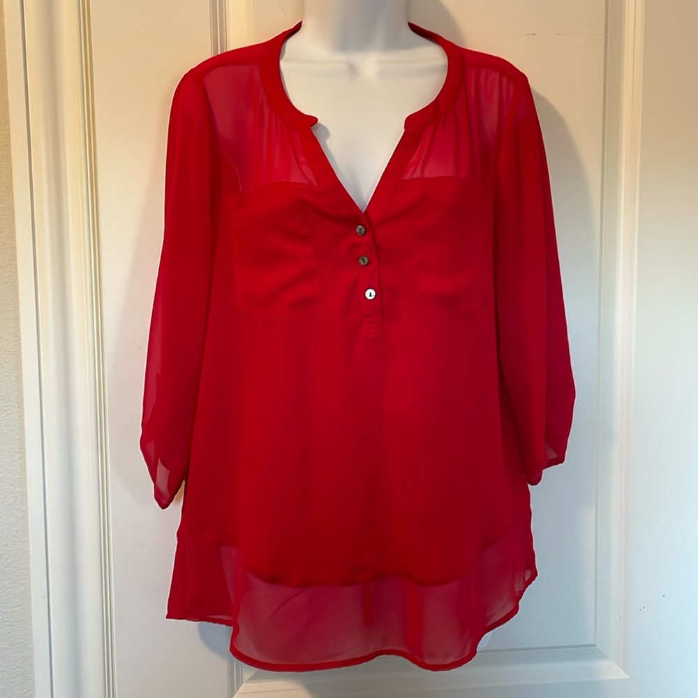 Express Sheer Blouse